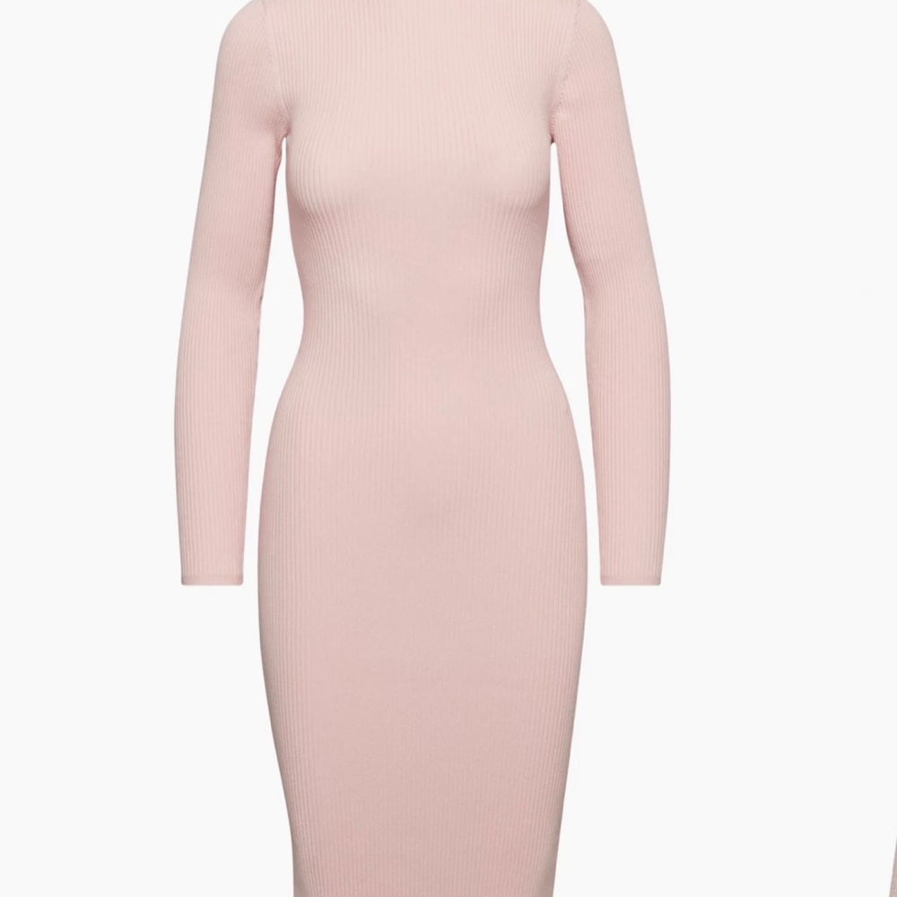 NWT BABATON COMPOSE DRESS POETIC PINK